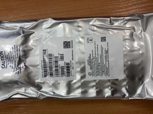 Układ scalony 89H24NT6AG2ZCHLGI Renesas Electronics Corporation
